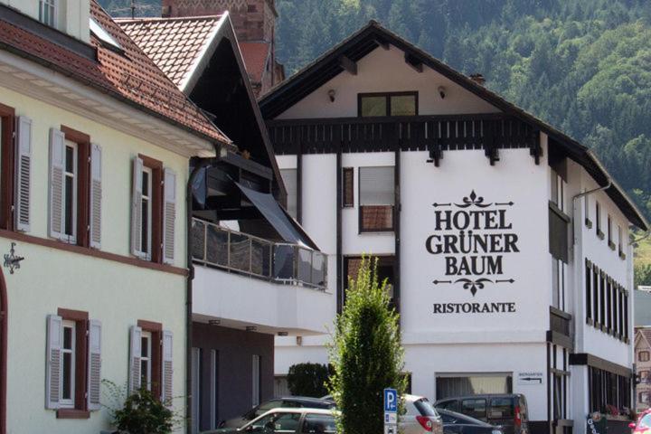 Hotel Gruener Baum - Hotel Im Murgtal, Schwarzwald Weisenbach Extérieur photo
